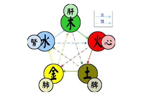 木五行|五行（对万事万物的取象比类）